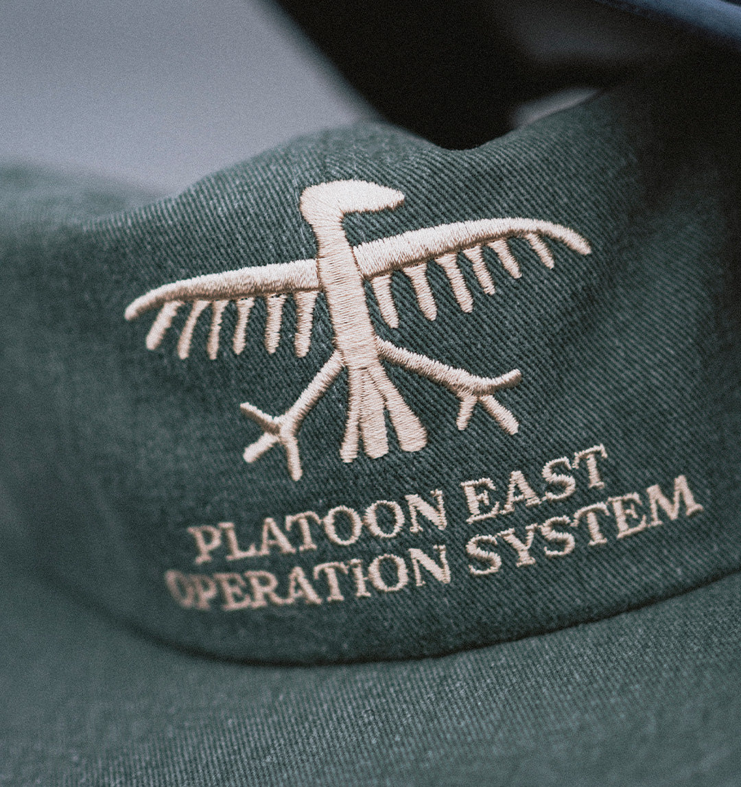 Eagle Field Cap